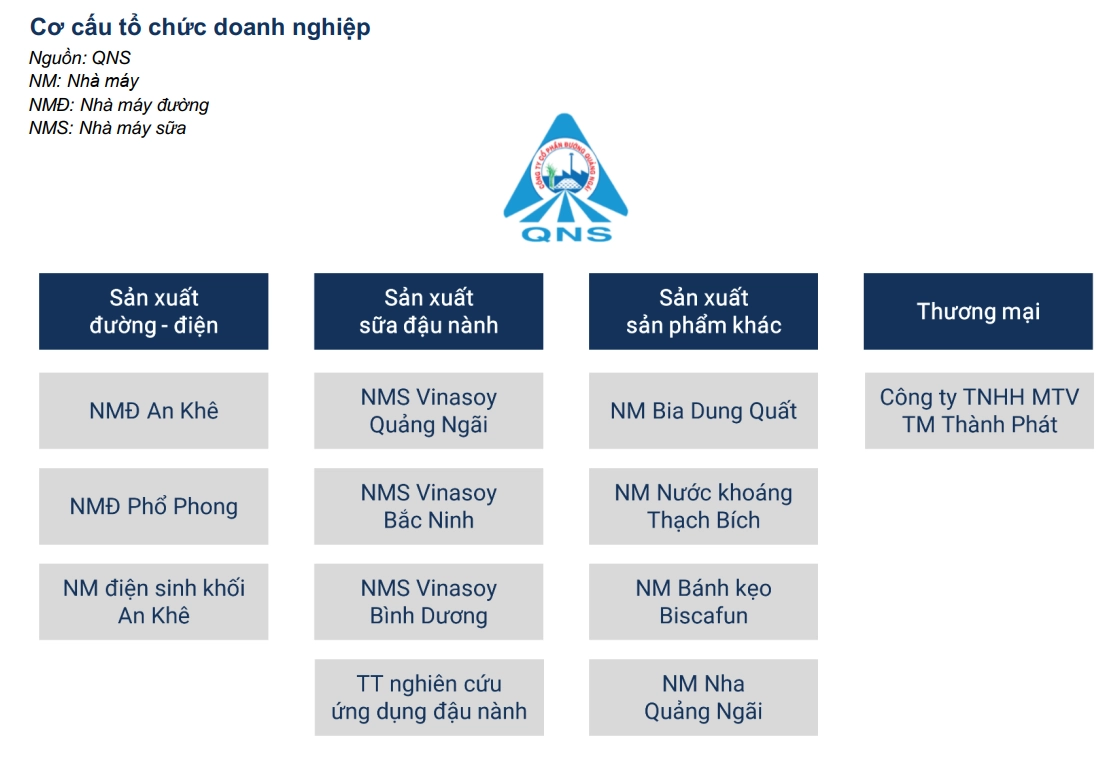 Cơ cấu công ty QNS
