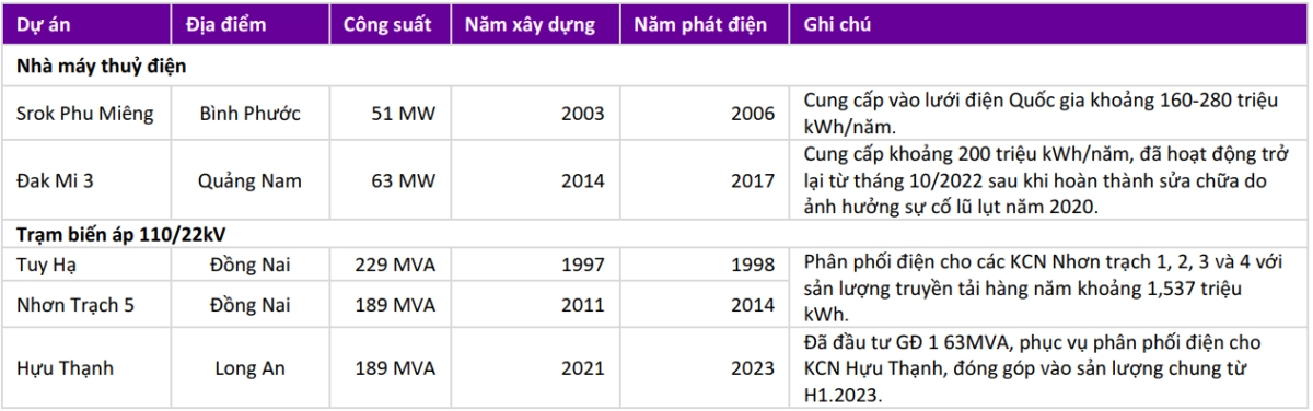 mảng kinh doanh điện